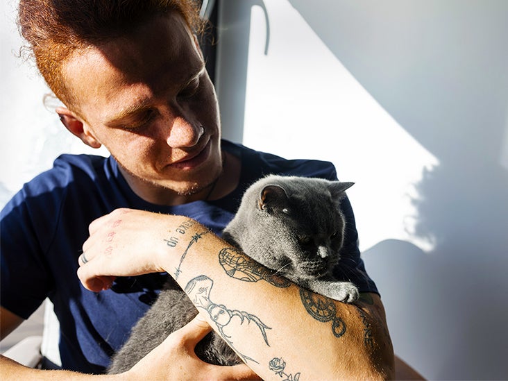 Eczema from Cats The Connection and Tips for Treatment