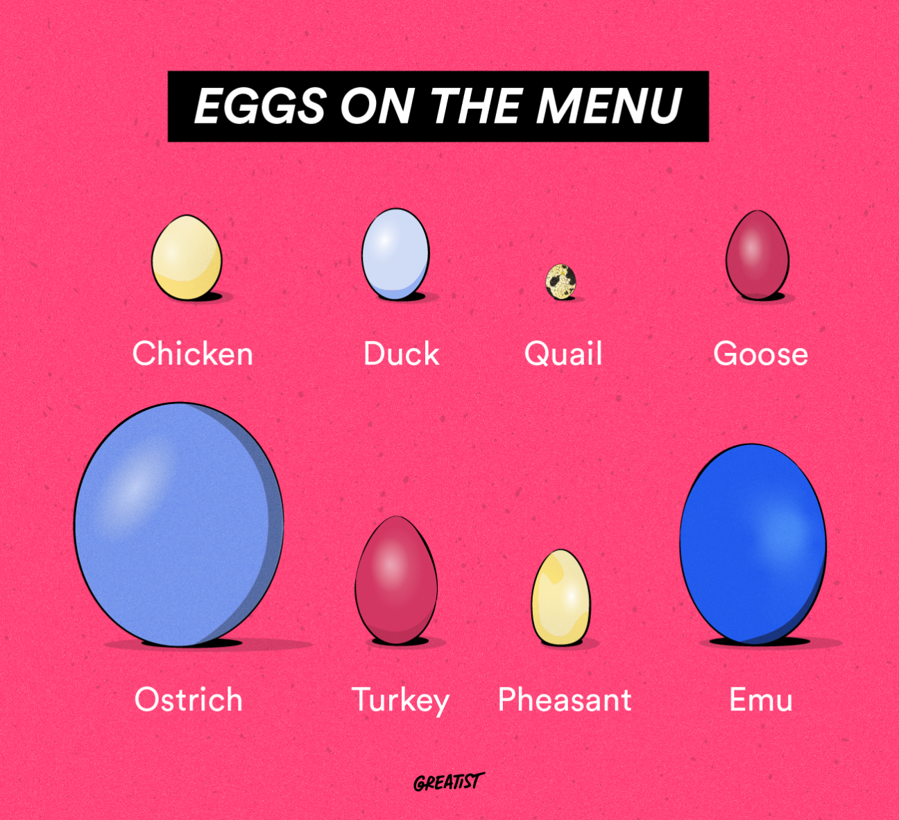 eggs on the menu infographic showing the sizes of different edible avian eggs
