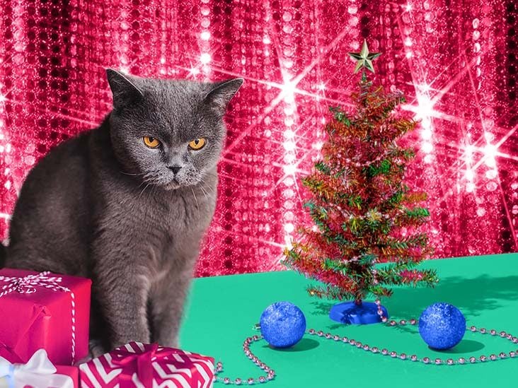 Happy Howlidays: The 20 Best Presents for Pet Parents