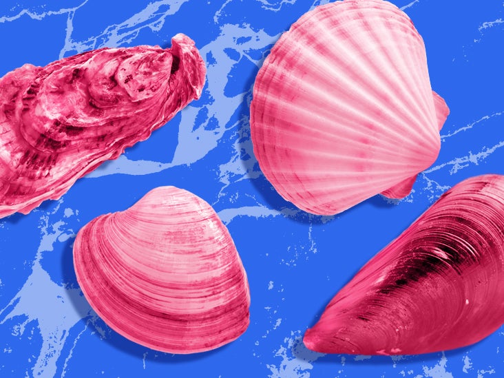 What Is the Difference Between Clams, Mussels, Oysters, and Scallops?