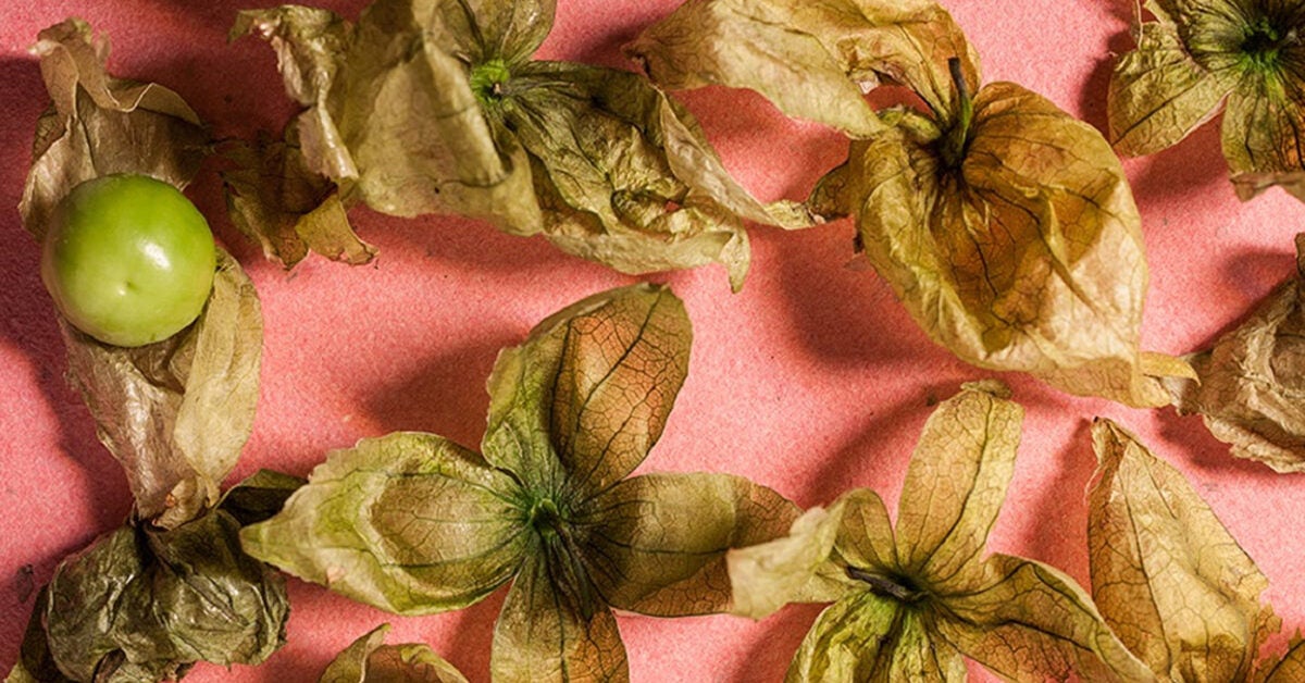 What Are Tomatillos?