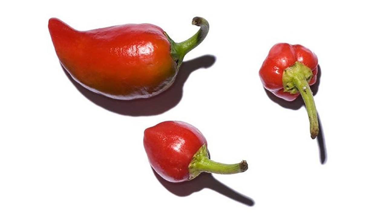 Hot cherry peppers