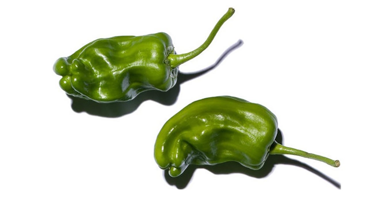 Pimiento de Padron peppers