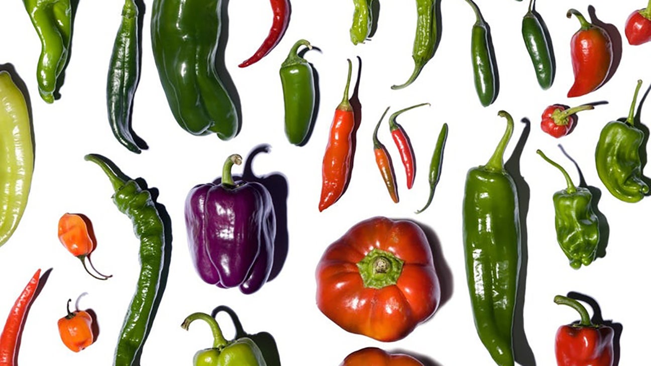 Pepper varieties