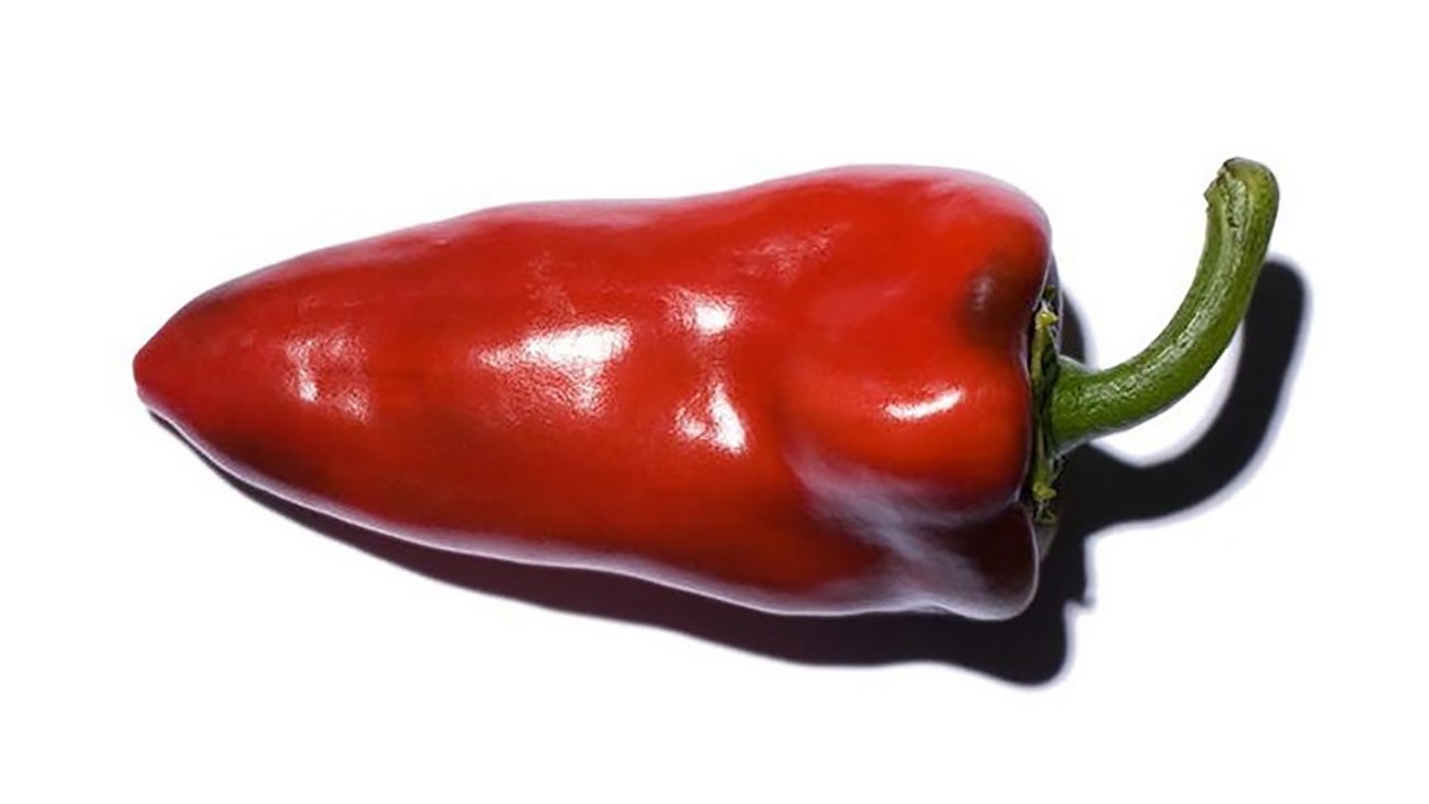 Piquillo pepper