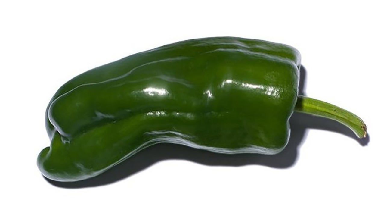 Poblano pepper