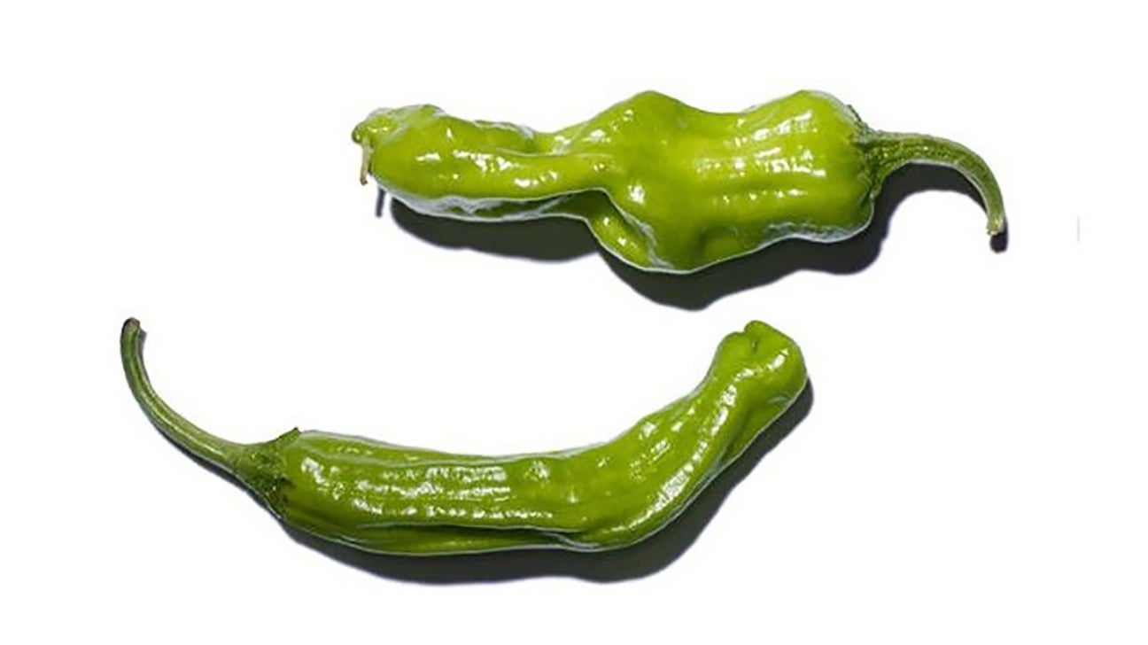 Shishito peppers