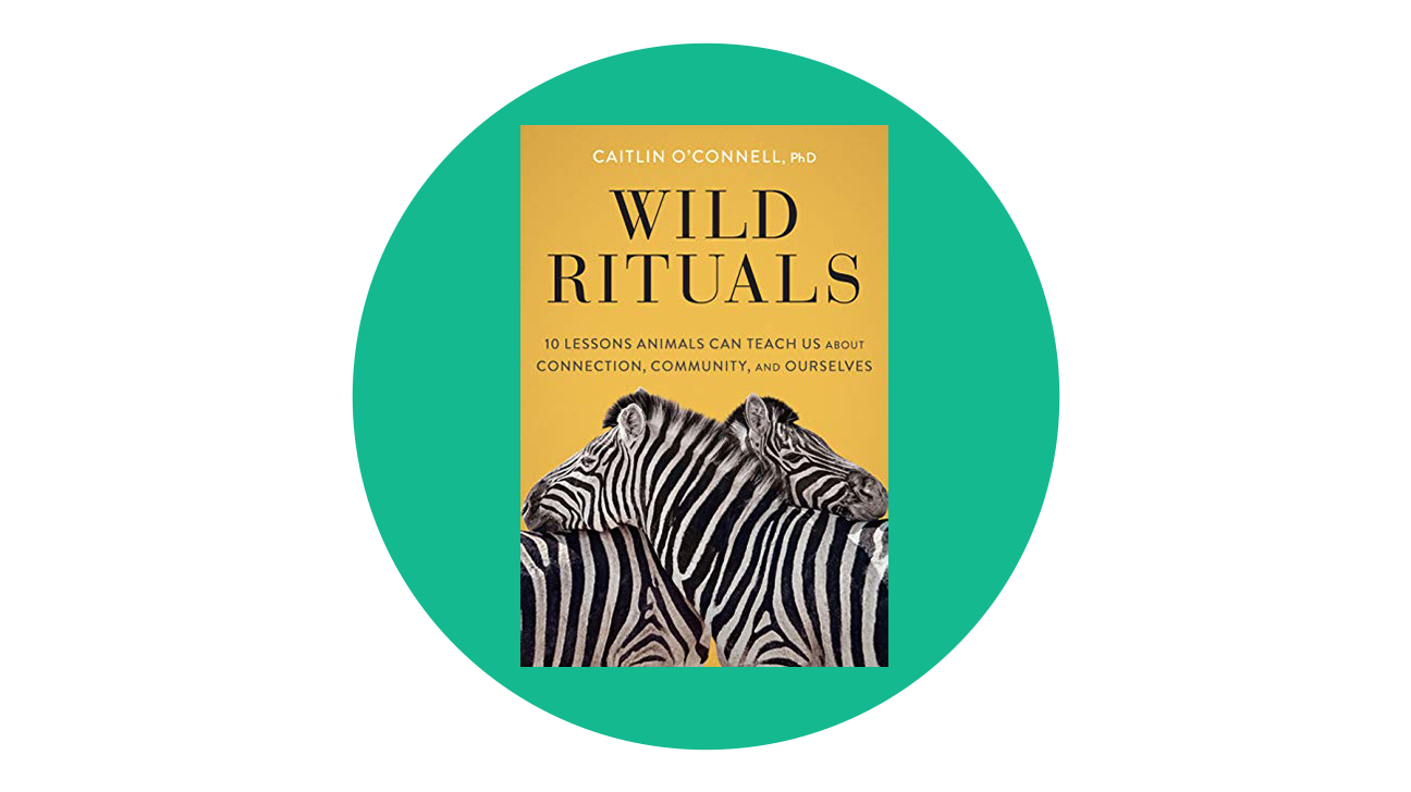 Wild Rituals: 10 Lessons Animals Can Teach Us About Connection, Community, and Ourselves by Caitlin O’Connell, PhD