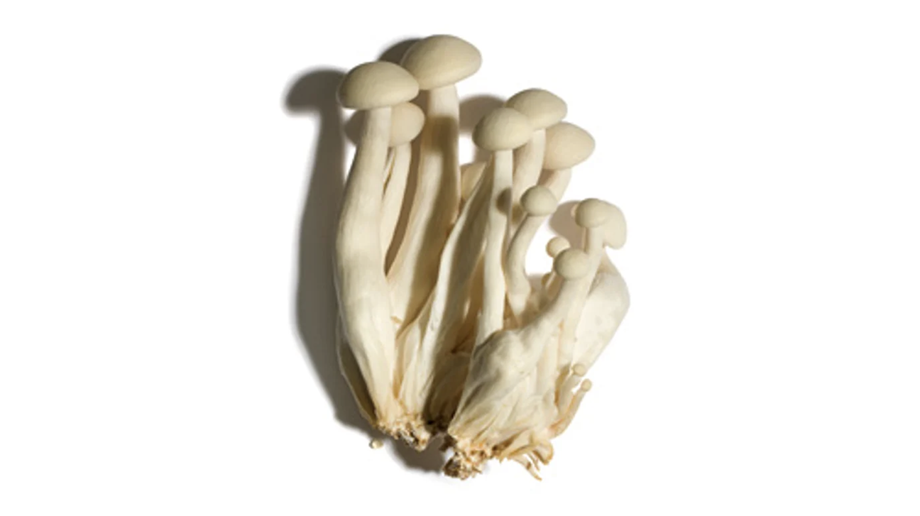 the koi thailand super strain mushrooms