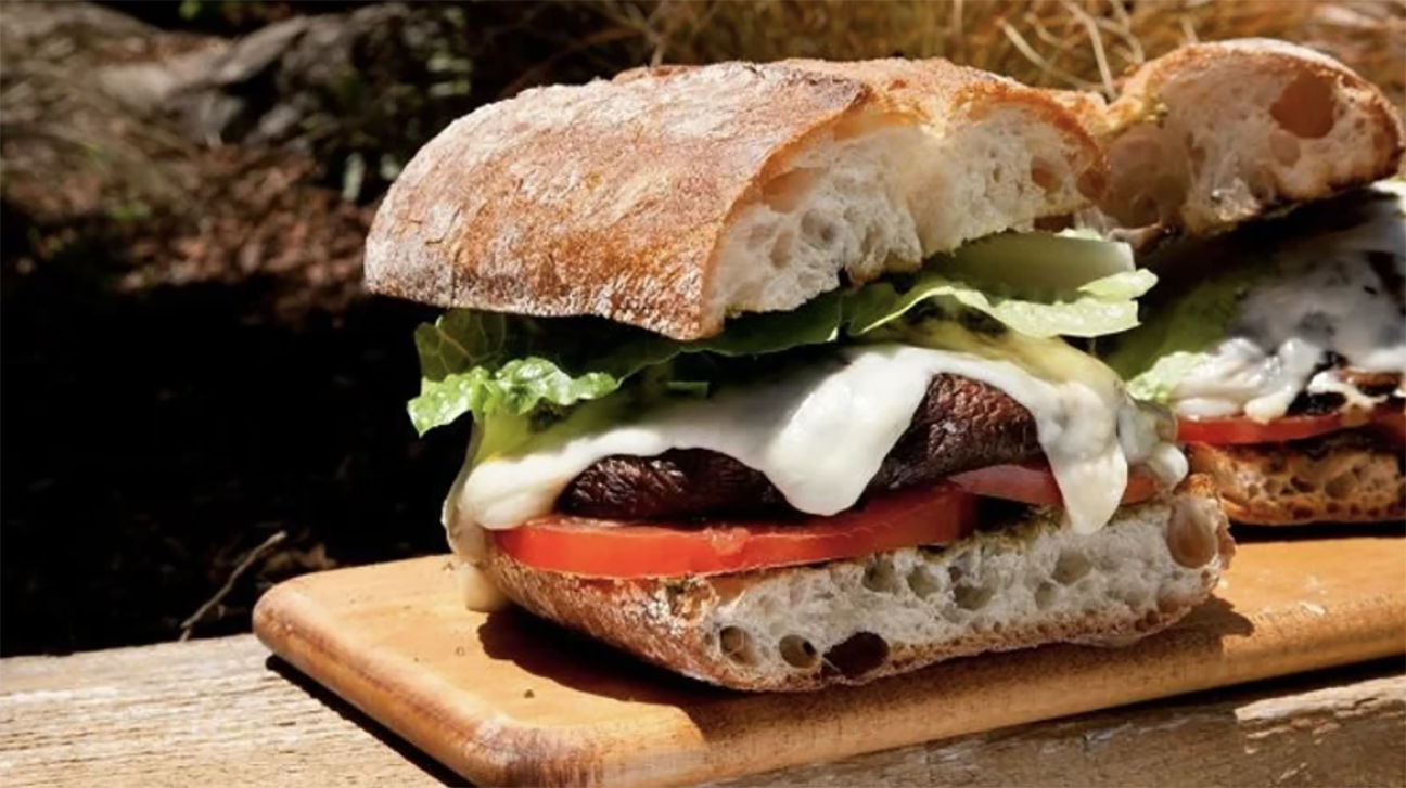 Best Things to Make in a Toaster Oven 15 Ideas and Recipes