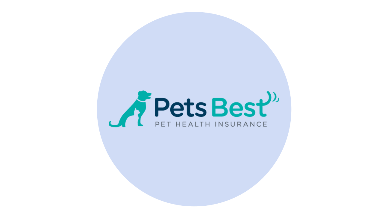 9 Best Pet Insurance Companies for 2022