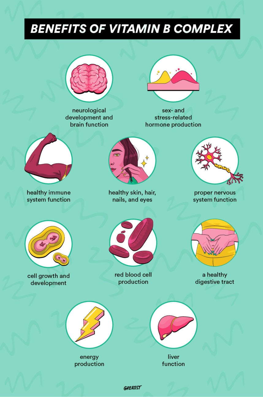 Food Nutrition
