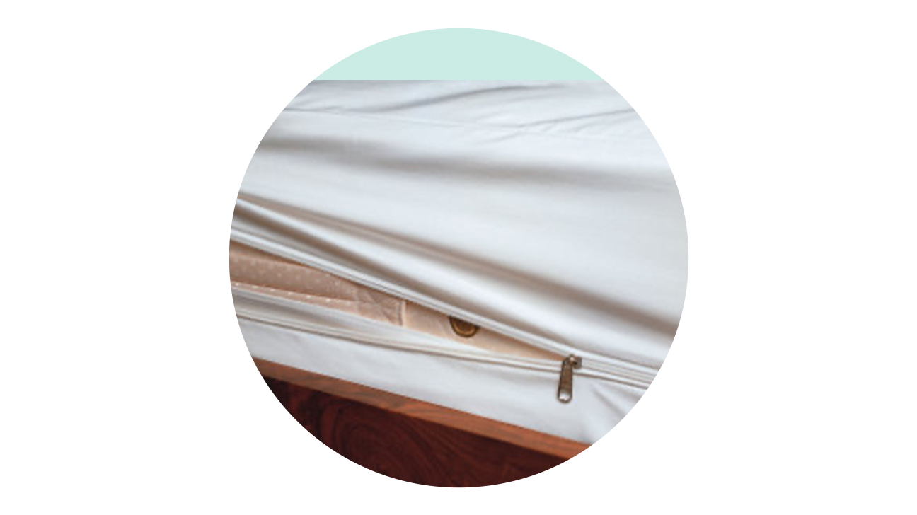 mission allergy twin mattress cover