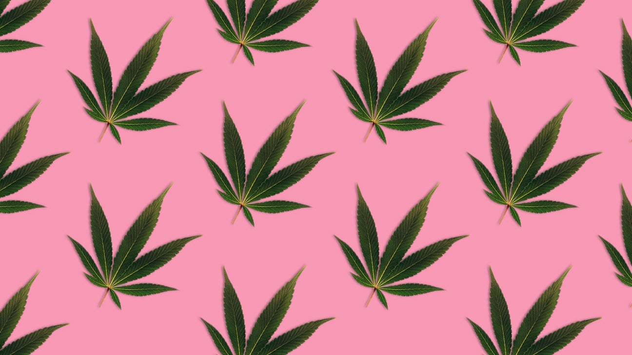 cannabis leaves
