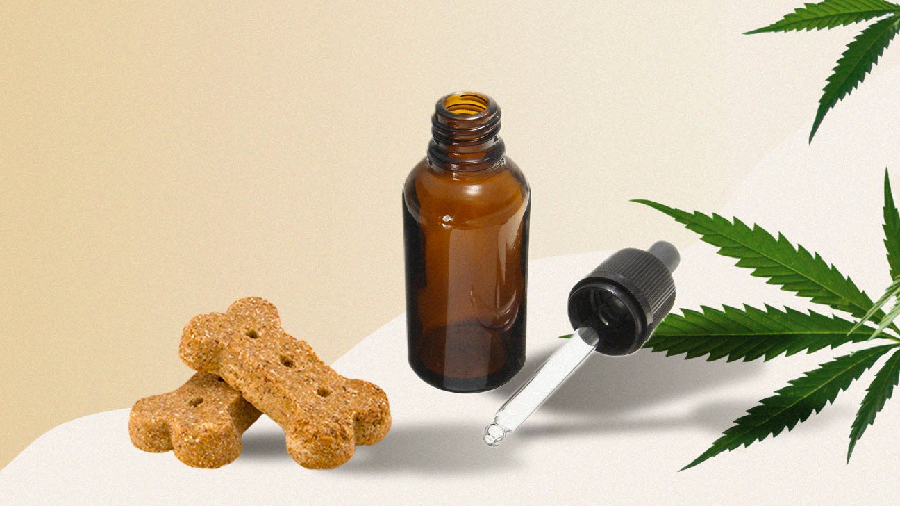 cbd tincture and dog treat