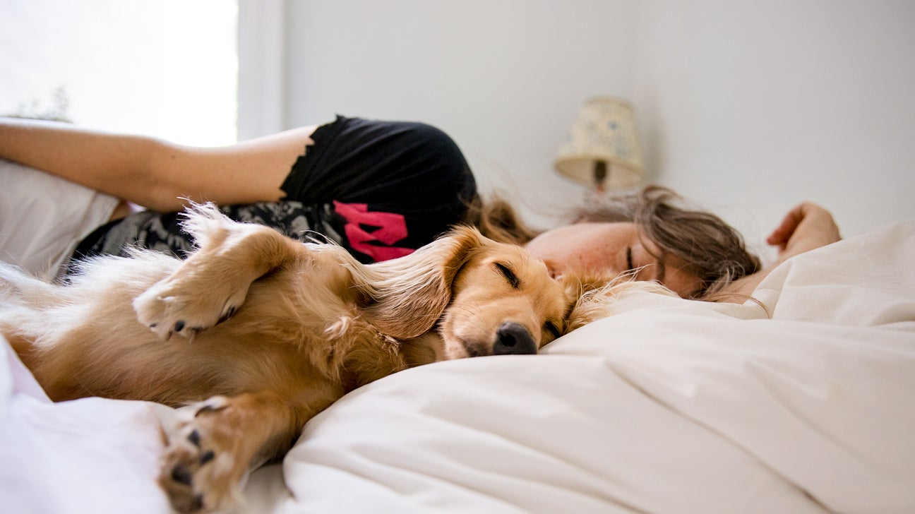 person sleeping with a dog in bed