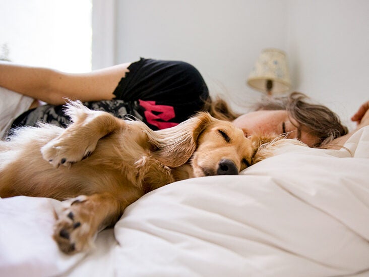 Is It Good to Sleep with Your Dog in Bed?