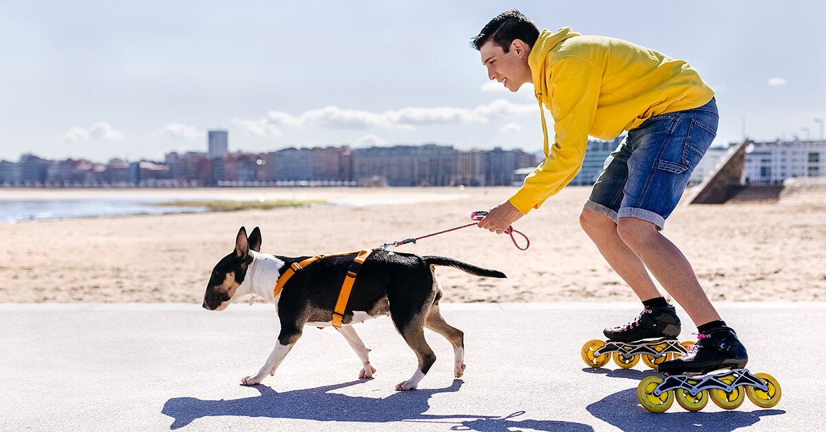 A Short Leash Between Pets and Mental Health: 10 Benefits