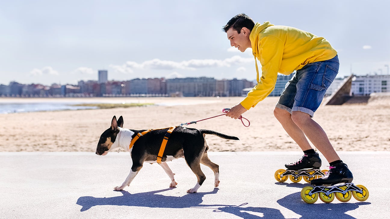 man roller blading with dog