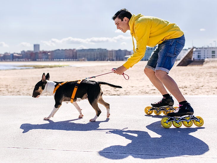 Boops for Mental Health: How Your Pet Boosts Your Well-Being