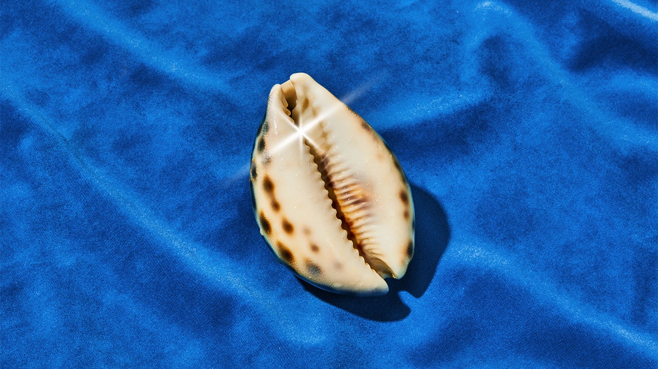 shell resembling a vagina