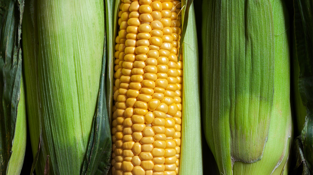 corn