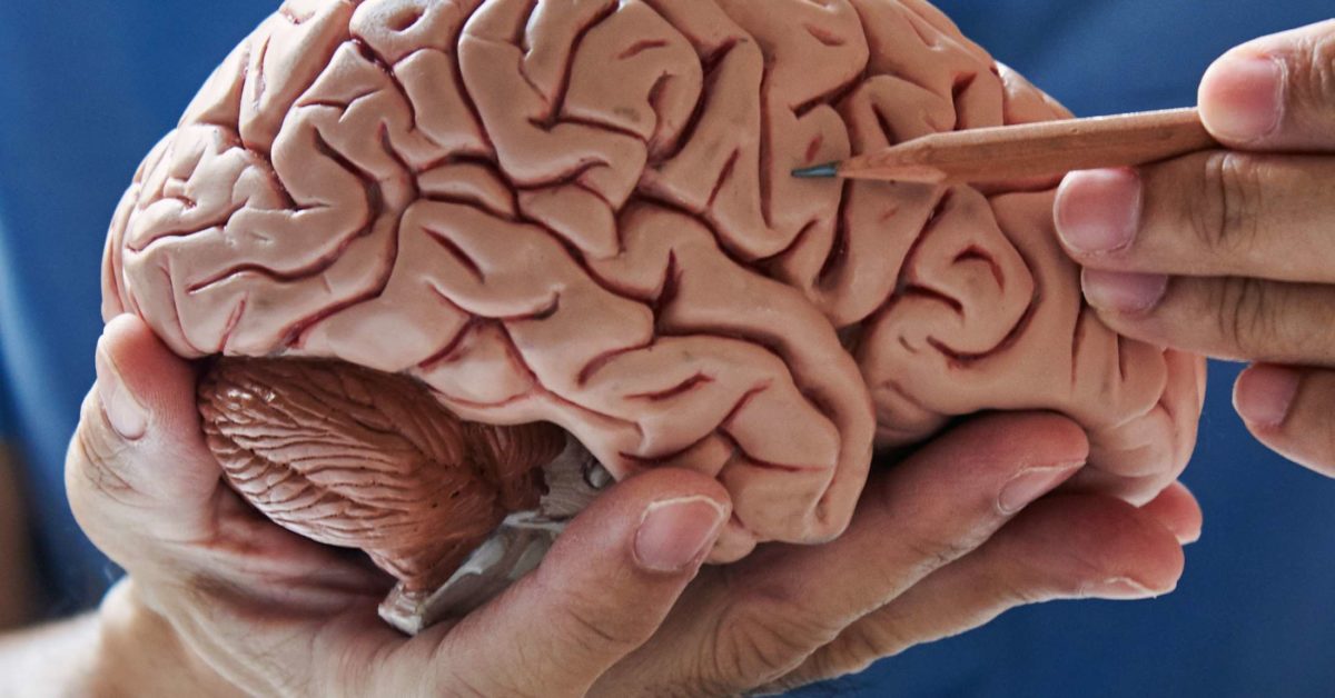 Neurotransmitters: What they are, functions, and psychology