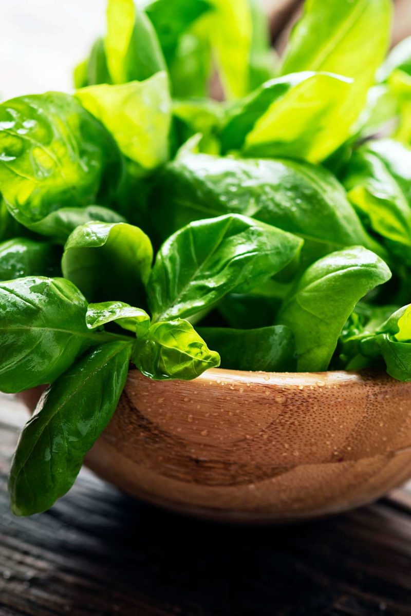 Basil: Uses, benefits and nutrition