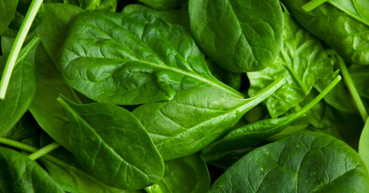 Spinach Nutrition health benefits and diet 