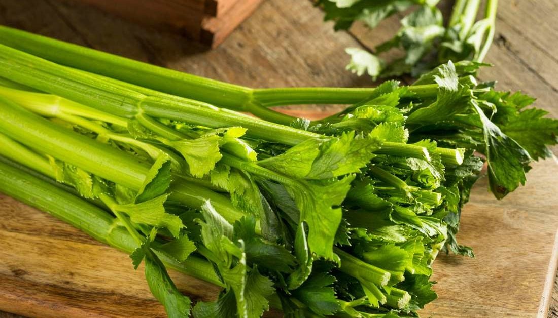 Celery Health benefits, nutrition, diet, and risks