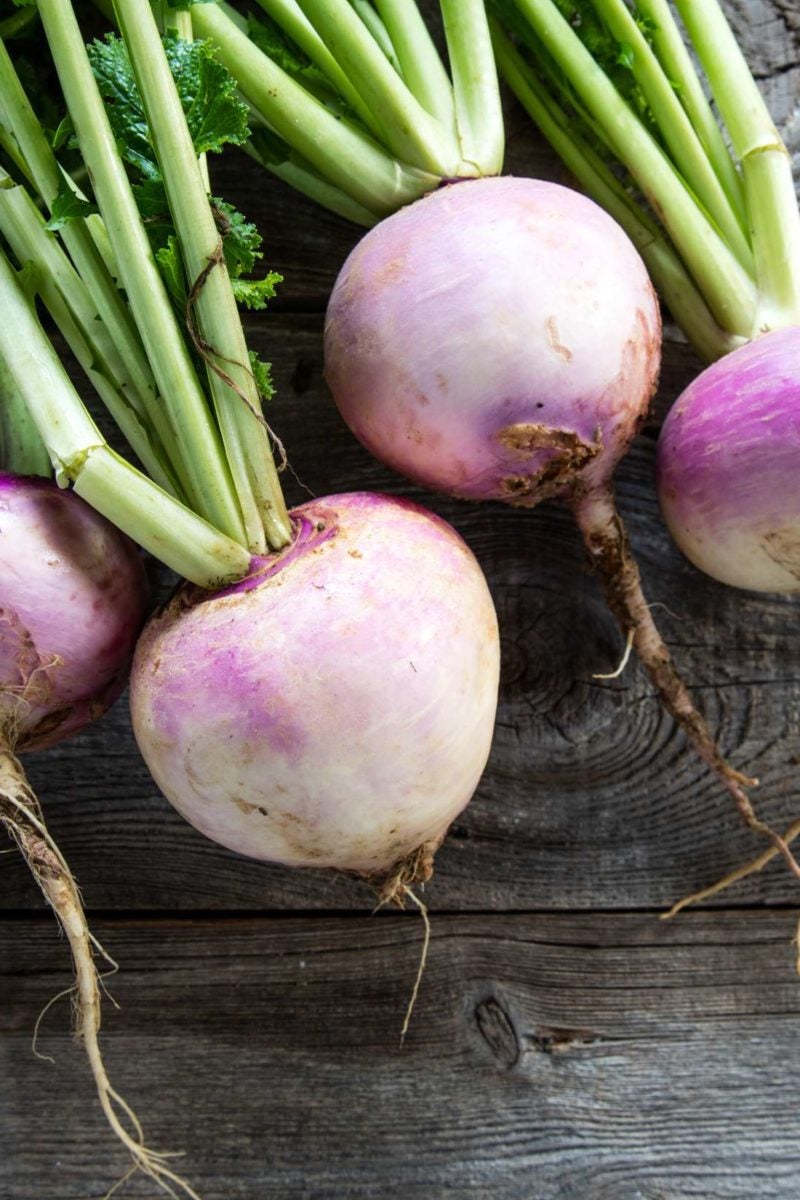 Turnips Health benefits, nutrition, and dietary tips