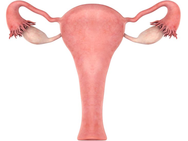 Prolapsed Uterus Stages Symptoms And Home Remedies