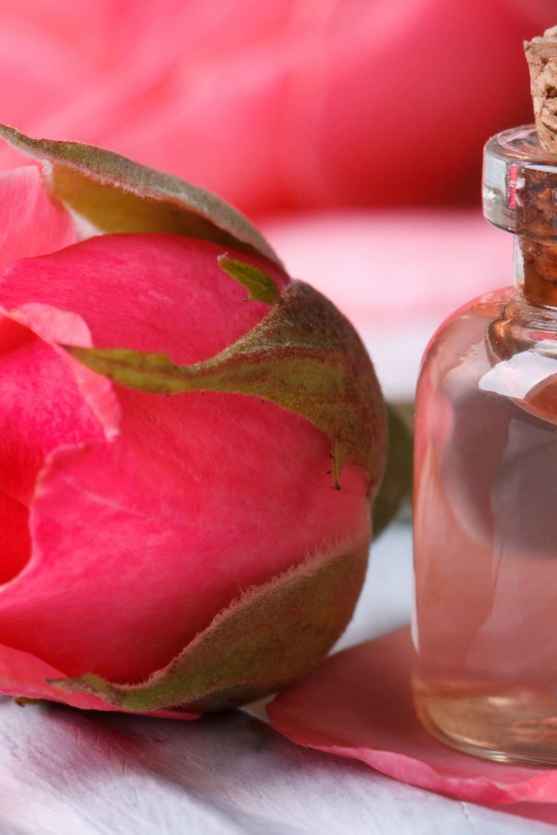 Rose water Benefits, uses, and side effects