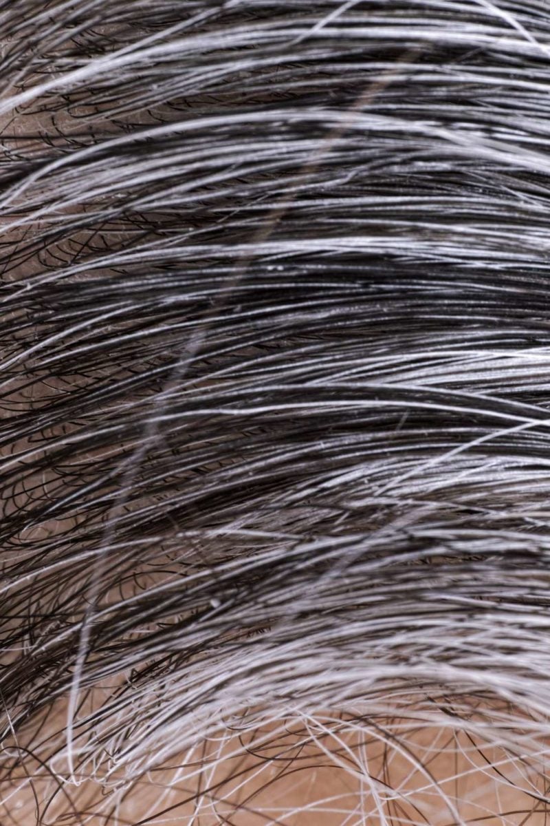 26 Top Images Gray Hair With Black Highlights - 60 Ideas Of Gray And Silver Highlights On Brown Hair