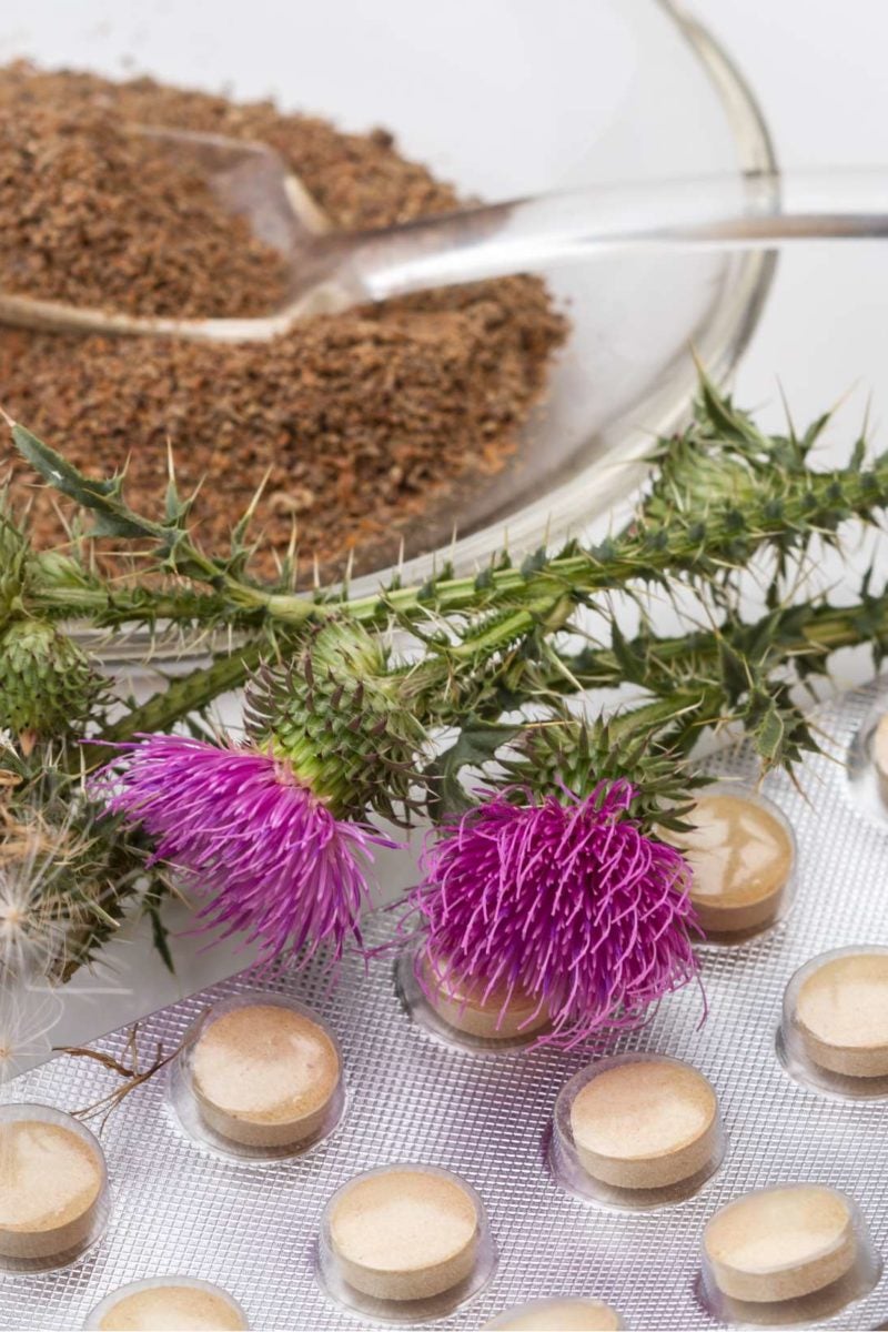 10 potential health benefits of milk thistle