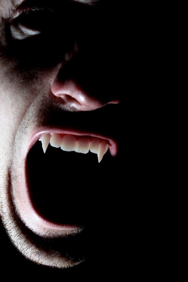 could-rabies-explain-the-vampire-myth