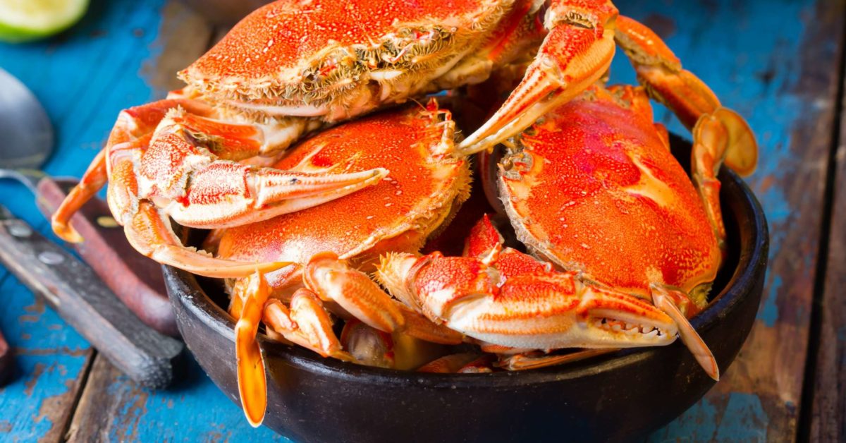 Can You Eat Cold Cooked Crab When Pregnant