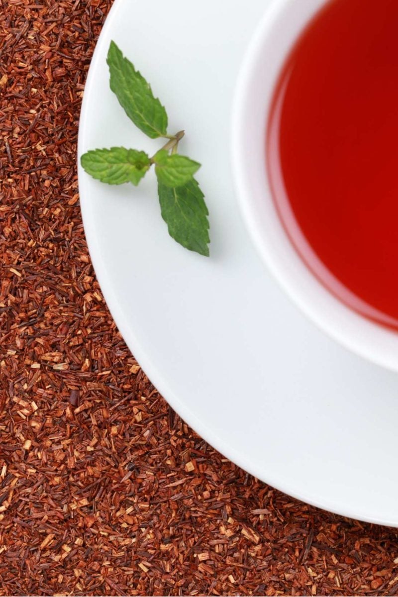 Rooibos tea Benefits, nutrition, and how to drink it