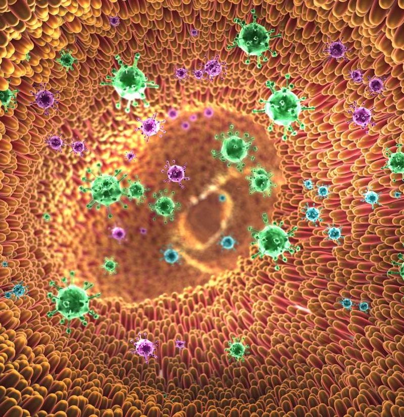 Immunology research papers pdf picture