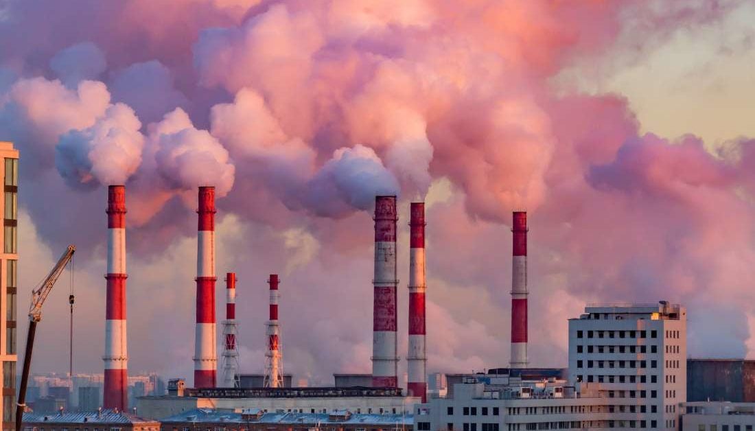 Exploring how pollution might impact the brain